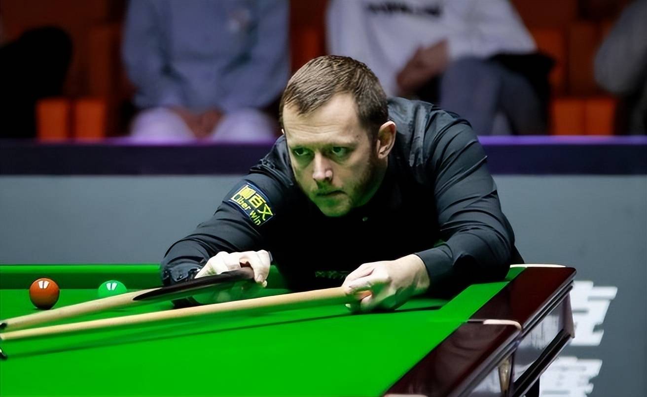 专业团队的 专业团队的